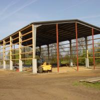 Halle_hoch